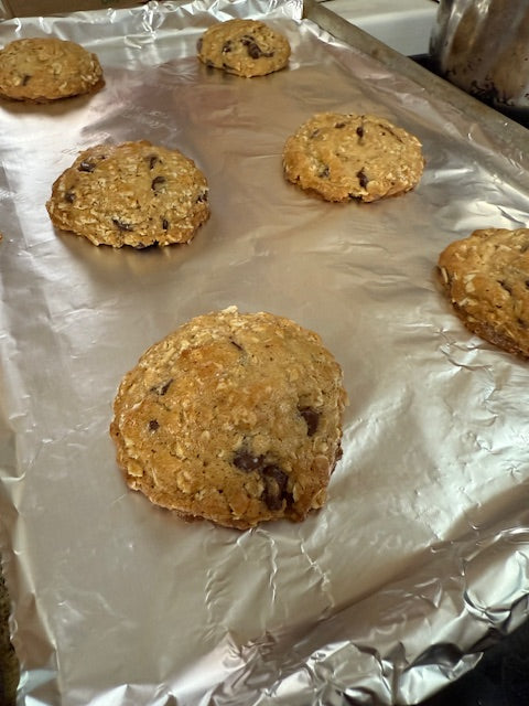 Oatmeal Chocolate Chip Cookie