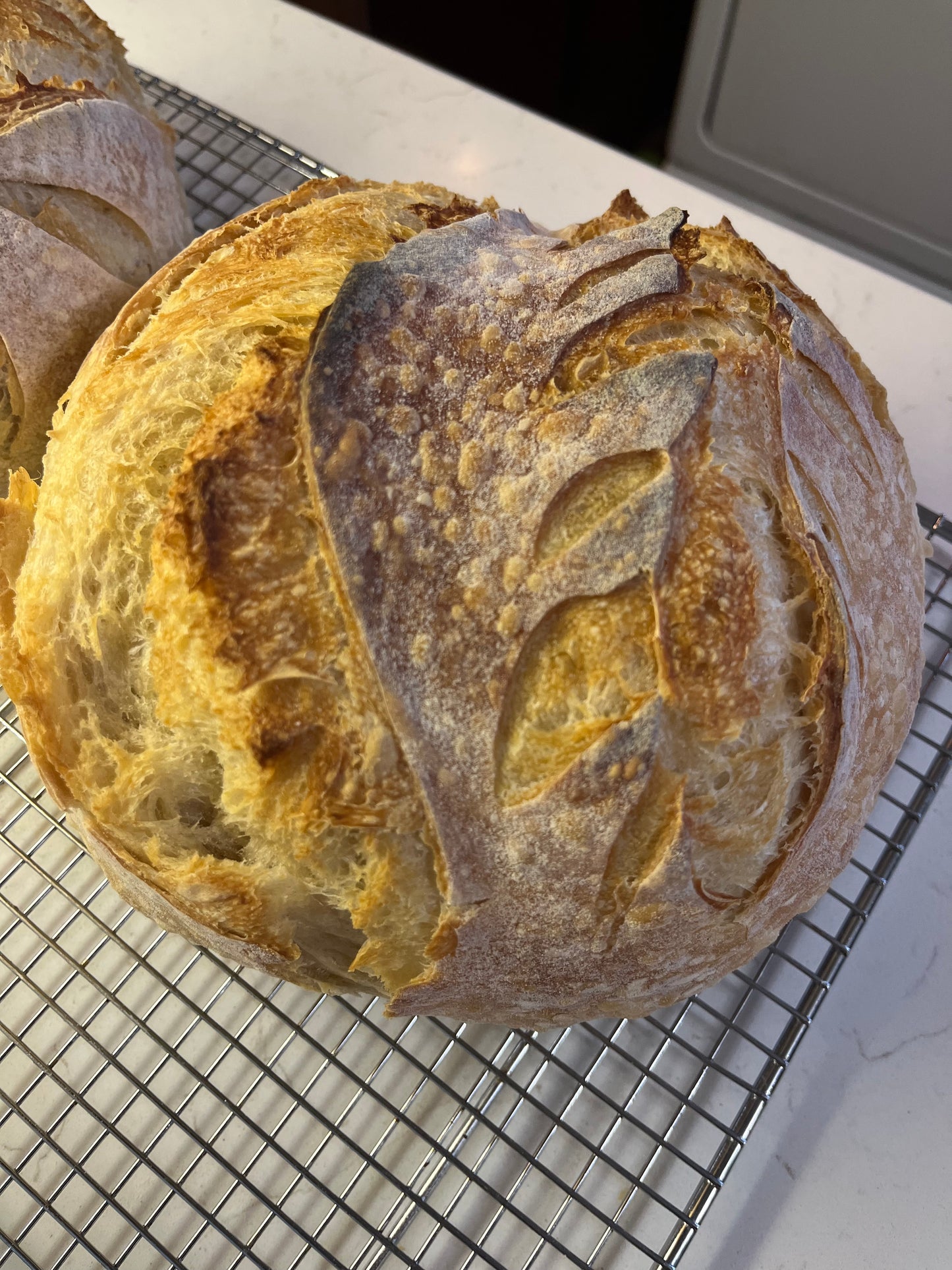 Plain Sourdough
